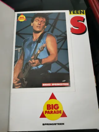 Libro The Boss Bruce Springsteen