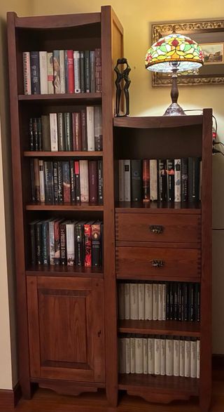 Mueble Librería Salón Madera y Cristal