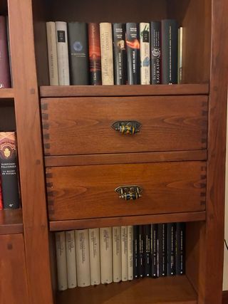 Mueble Librería Salón Madera y Cristal