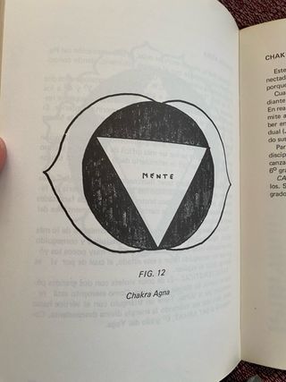 La lógica del Yoga . 7 pasos hacia la liberación