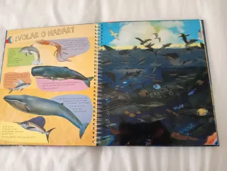 Libro infantil Animales del mar