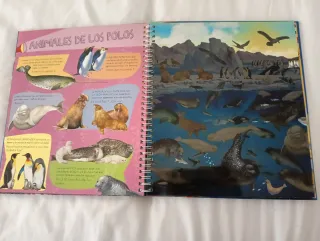 Libro infantil Animales del mar