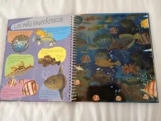 Libro infantil Animales del mar