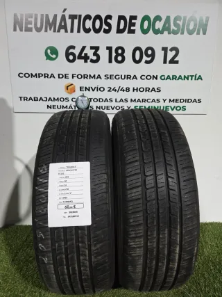 205 60 16 96V TRIANGLE ADVANTEX TC101