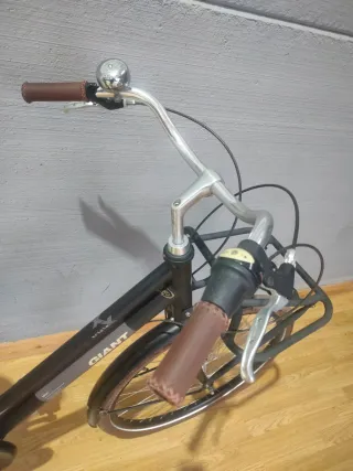 Bicicleta Giant Triple X