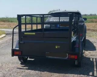 Remolque 2 ejes 210x130