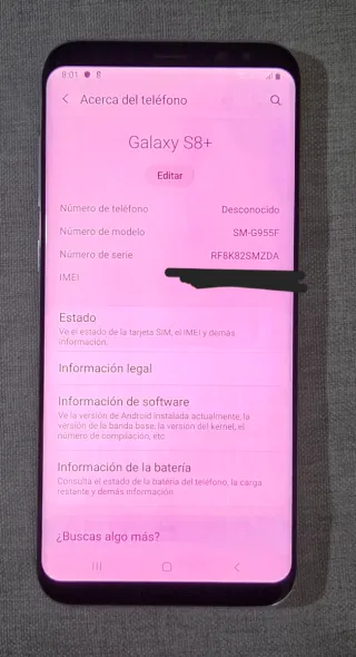 Samsung Galaxy S8+ in ottime condizioni