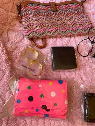 Lote de carteras y monederos, pendientes, pulseras