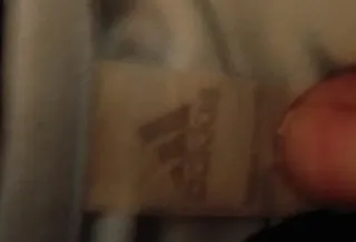 Chándal Entrenamiento Real Madrid Adidas