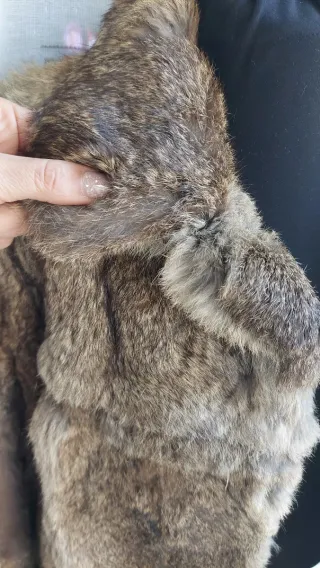 pelliccia vera vintage morbidissima