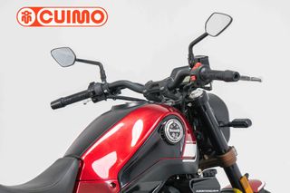 BENELLI LEONCINO 250