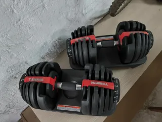 Juego Mancuernas Ajustables 24 kg