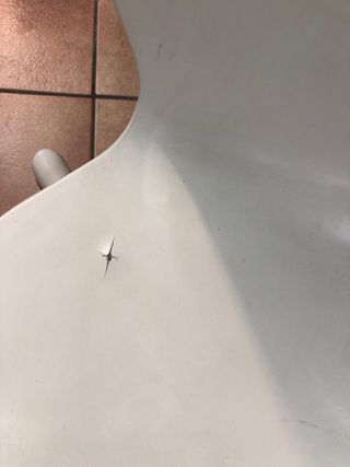 Conjunto 6 sillas comedor/cocina blancas