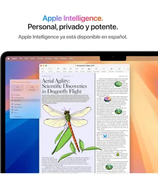 MacBook Air M4 Plata/Gris Espacial