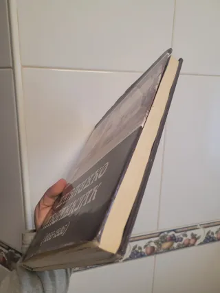 LIBRO ZARAUZKO ARGAZKIAK 1866-1936