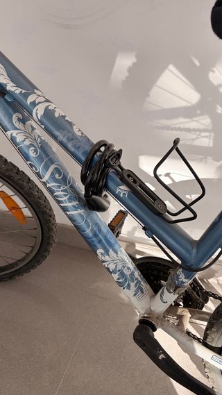 Bicicleta de montaña