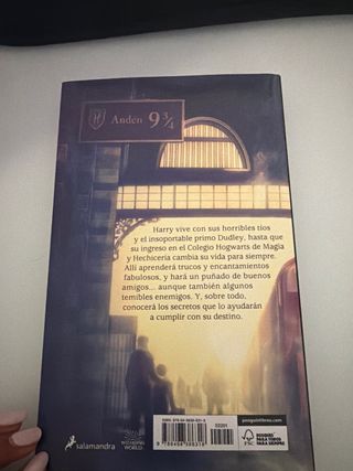 Harry Potter y la piedra filosofal (Harry Potte...