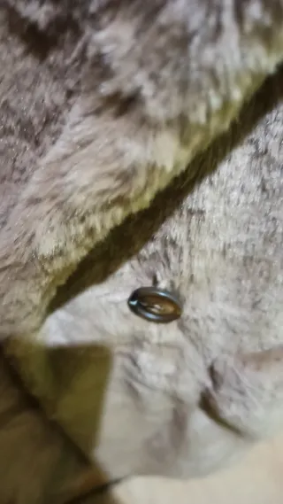 Abrigo de pelo marrón