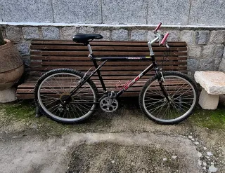 Bicicleta de Montaña gt palomar