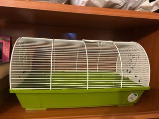 Jaula para roedores - verde y amarillo