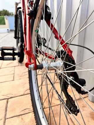 Bicicleta Montaña Roja RR60