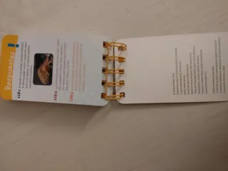 Libros de preguntas Adultos y Niños de + de 8 años