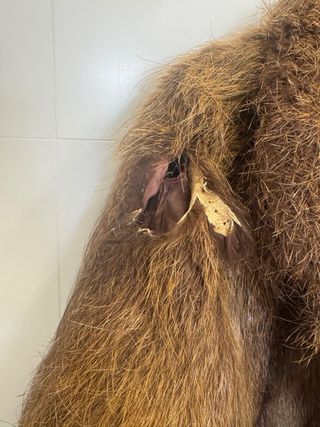 Abrigo de piel de trama marrón.