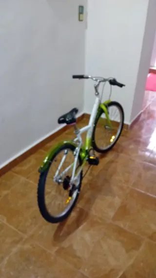 Bicicleta infantil verde y blanca