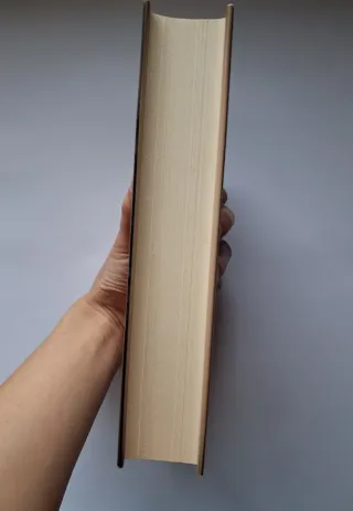 La ladrona de libros