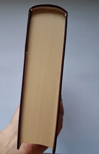 La ladrona de libros