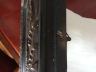 Marco antiguo para foto o cuadro