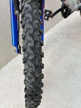 Bicicleta infantil marca Pegasus alemana