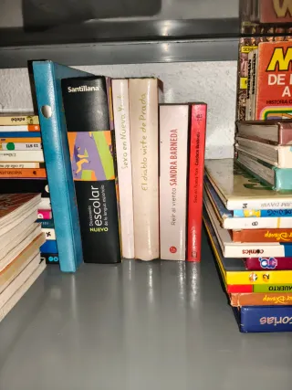 Libros infantiles y de adultos etc .. hay de todo