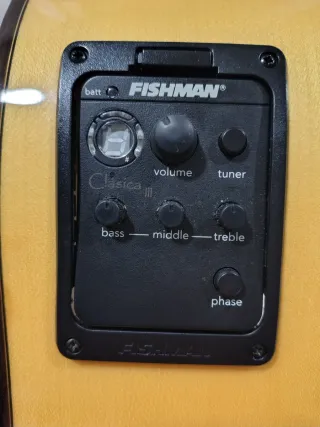 Guitarra Paco Castillo