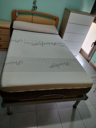 Cama eléctrica articulada