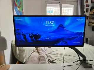 Display/monitor LG Ultrawide 29 29UM69G-B