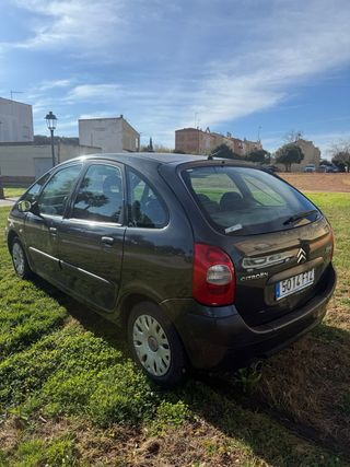 XSARA PICCASO EN PREFECTO ESTADO