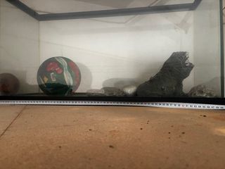 Pecera grande con accesorios