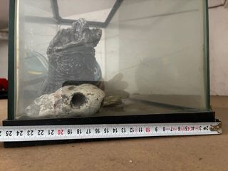 Pecera grande con accesorios