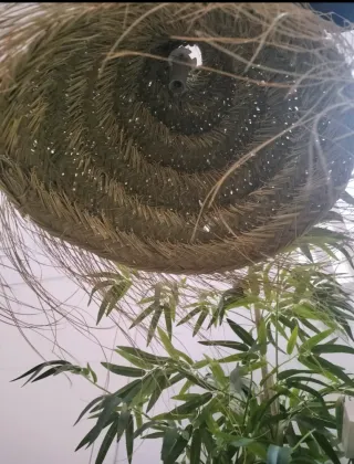 Lámpara Esparto Natural Estilo Boho