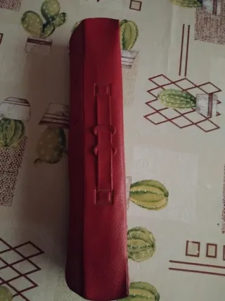 Hohner Melódica Alto Roja Antigua