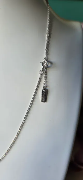 Garantía de plata de ley  de agatha