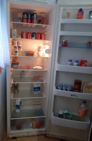 Frigorífico Balay 1 Puerta