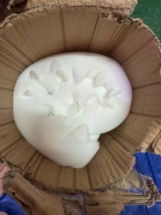 Letto ortopedico per cani VOUNOT M 51-76