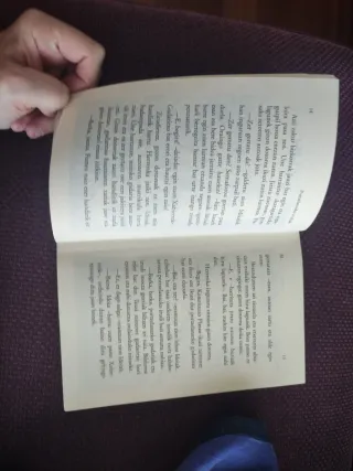 Portzelanazko irudiak liburua