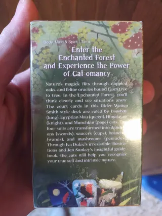 Enchanted Forest Felines Tarot Tarocchi Carte Deck