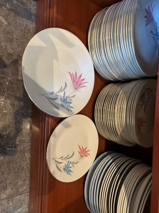 Platos de porcelana
