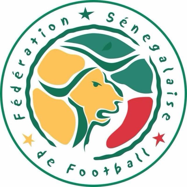 Camiseta Senegal 2002