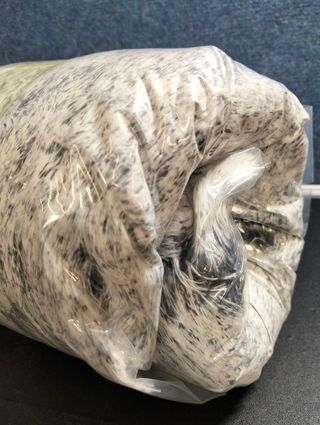 Feandrea Cama Perros M 80x75x16 cm Gris