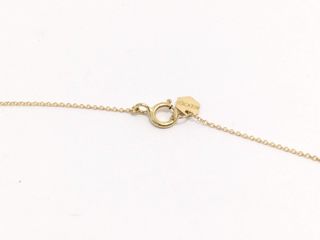 E566998-2 Cadena Oro 18K 22Cm